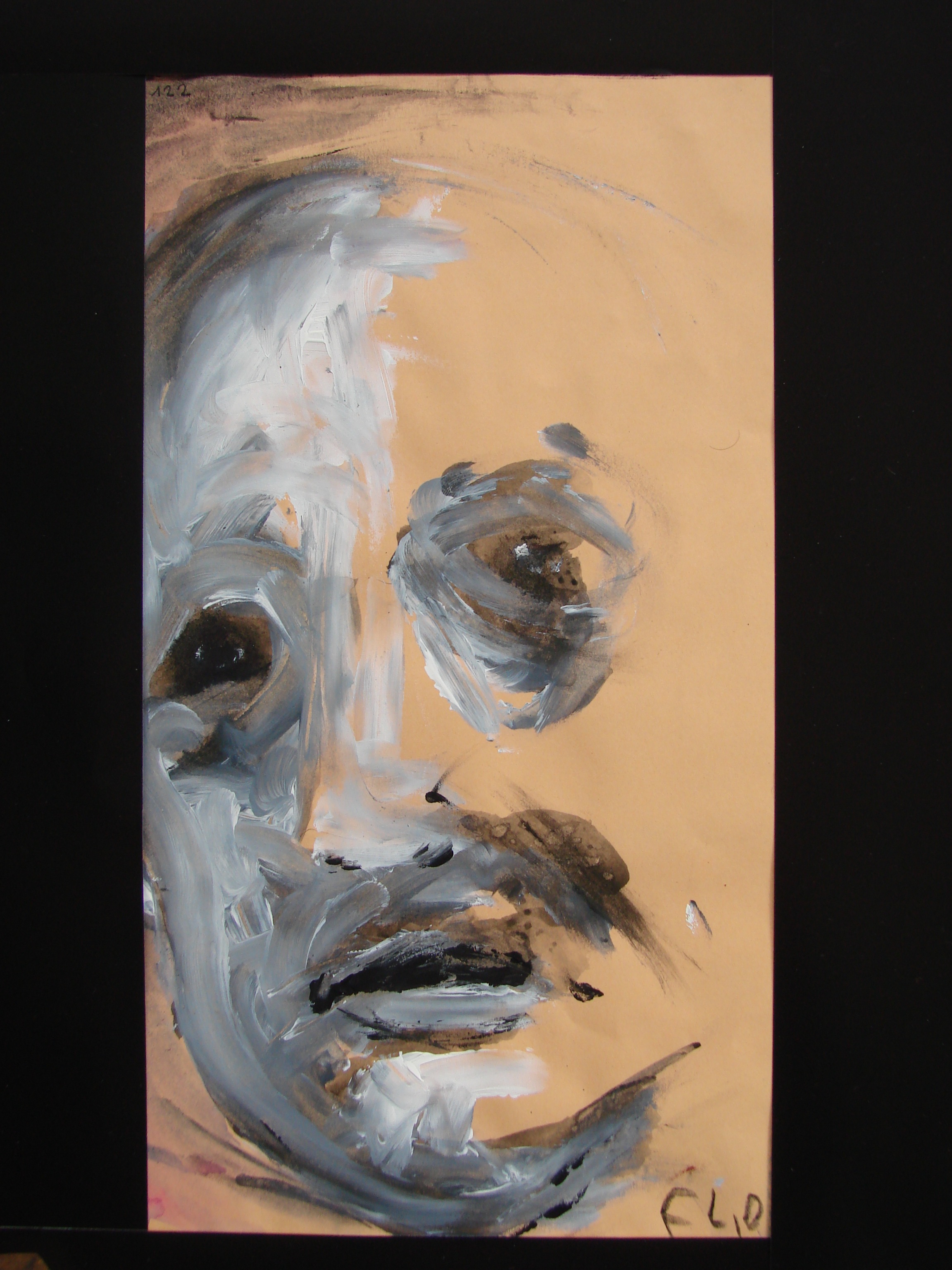 Exposition de François Lemonnier à la Lune Rousse